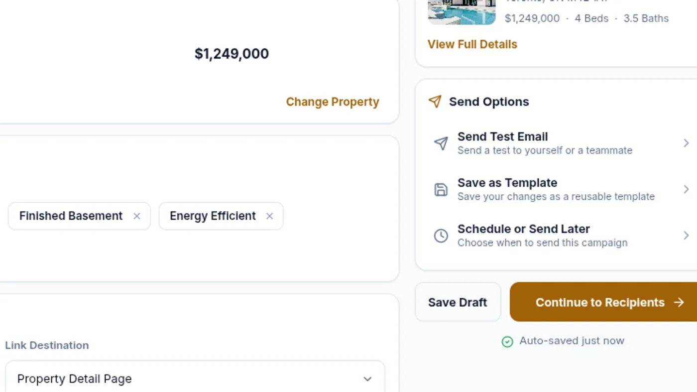 The send options panel, offering a test send, save as template, and schedule or send later